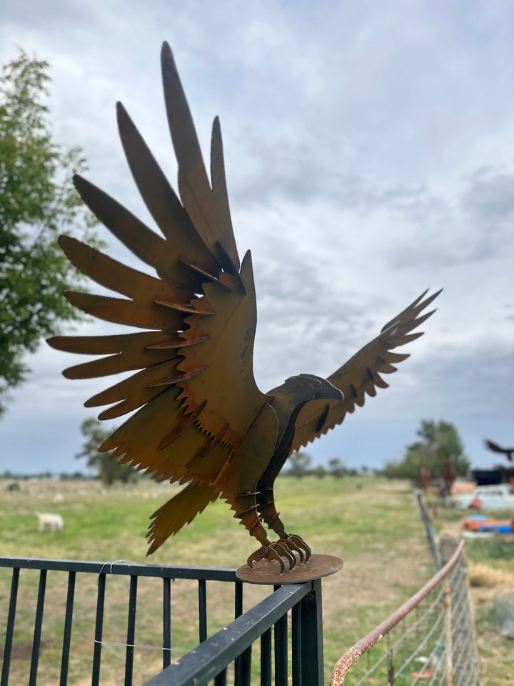 Wedge Tailed Eagle - Metal Sculpture - Garden Features-Old n Dazed