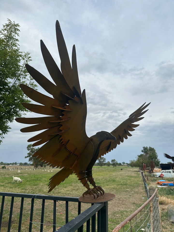 Wedge Tailed Eagle - Metal Sculpture - Garden Features-Old n Dazed