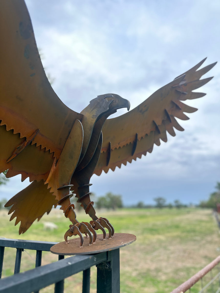Wedge Tailed Eagle - Metal Sculpture - Garden Features-Old n Dazed