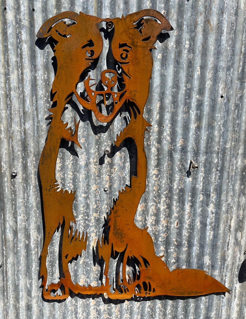 Border Collie Dog Metal Wall Art - Garden Art-Old n Dazed
