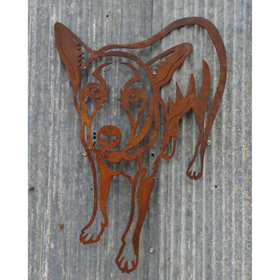 Cattle Dog Metal Wall Art-Old n Dazed