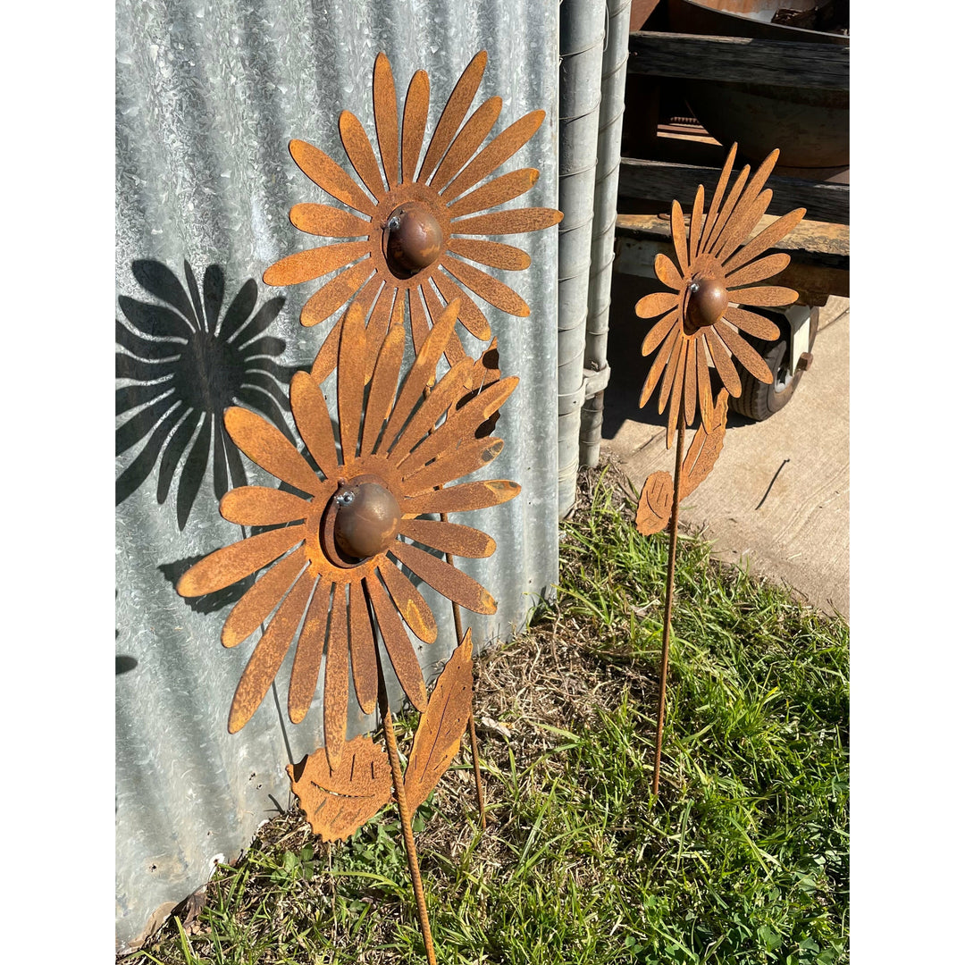 Chrysanthemum single Layer 1000m tall Metal Garden Art-Old n Dazed