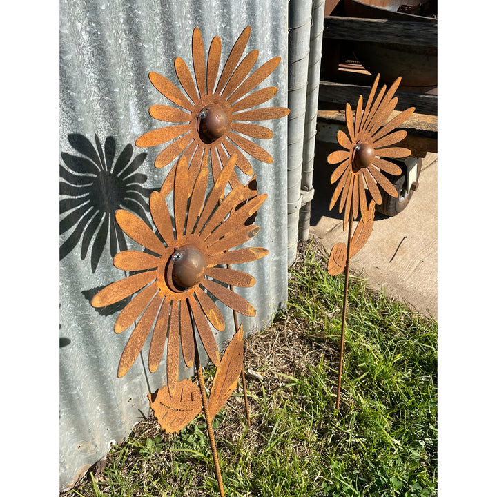 Chrysanthemum single Layer 1000m tall Metal Garden Art-Old n Dazed