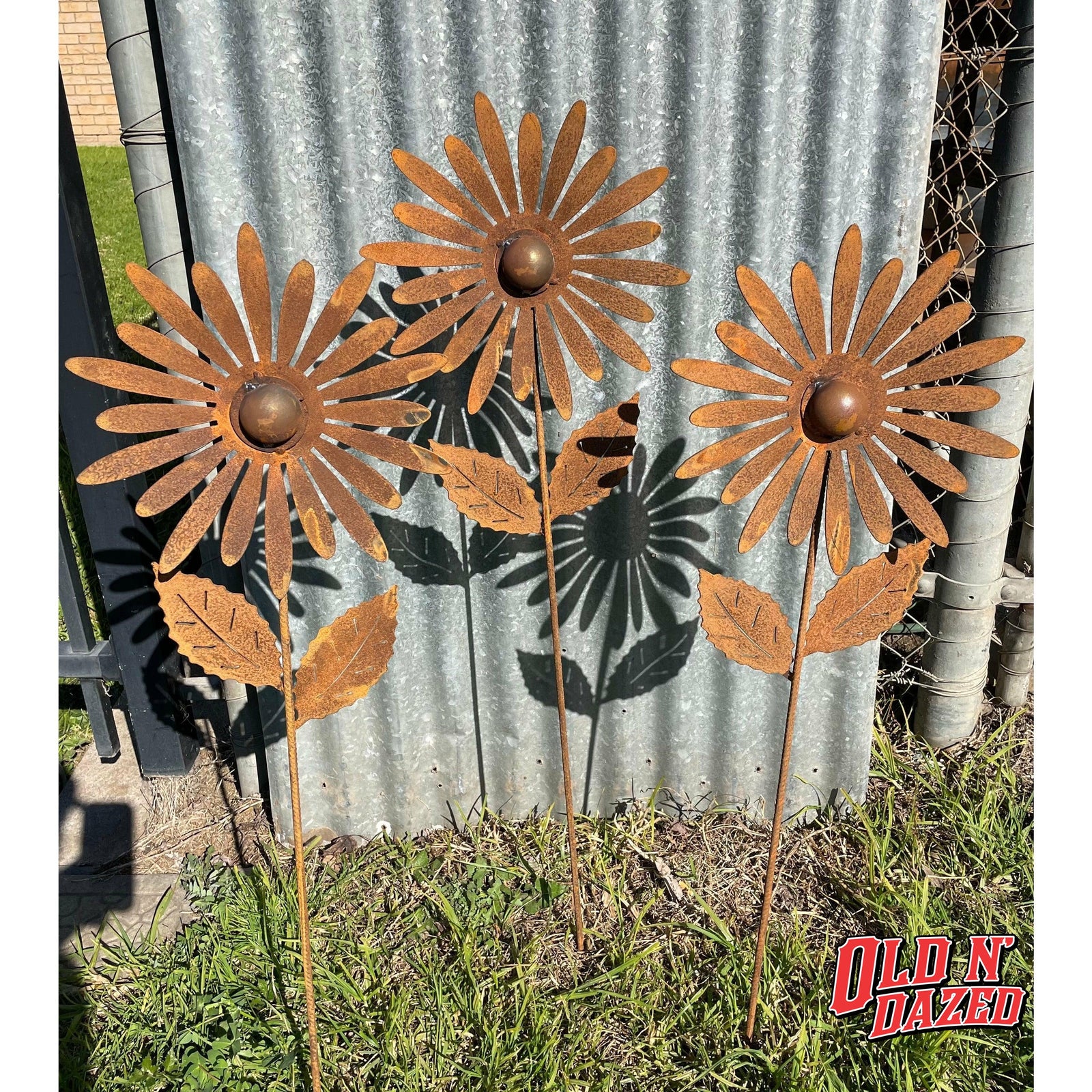 Chrysanthemum single Layer 1000m tall Metal Garden Art-Old n Dazed