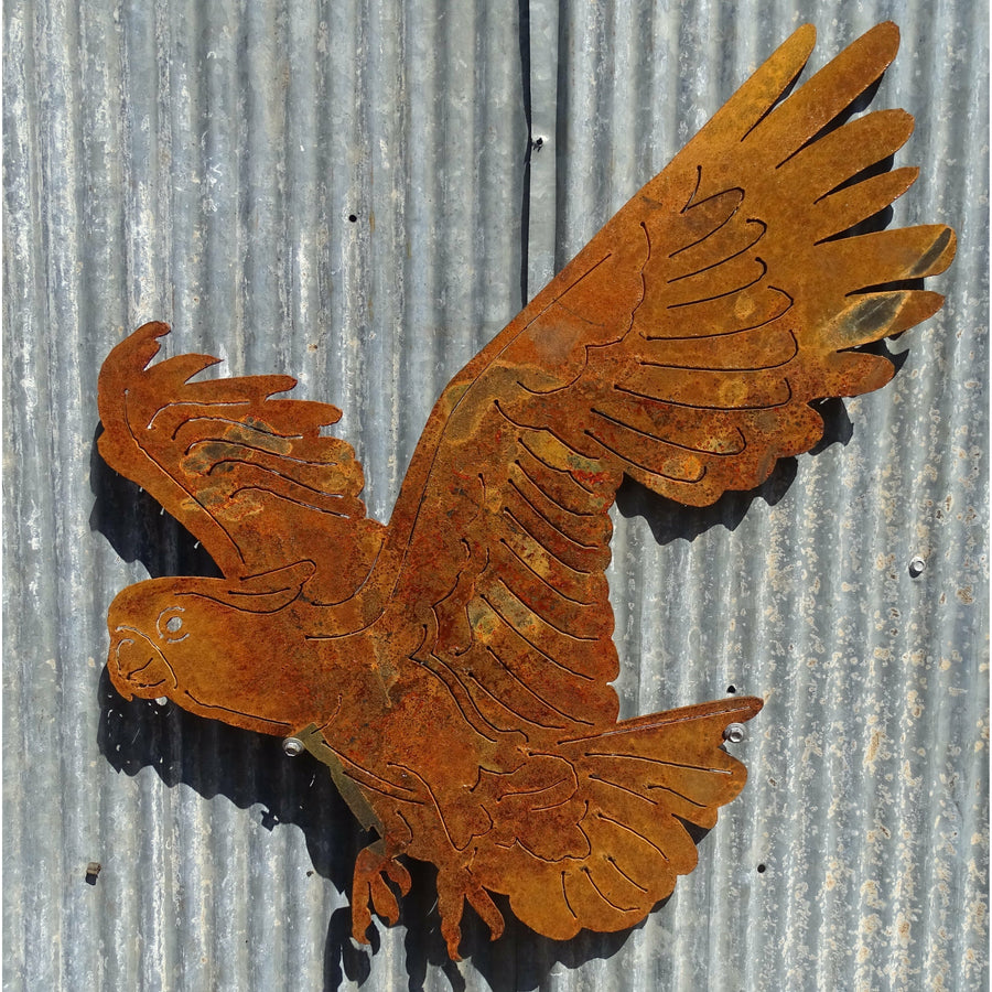 Cockatoo Metal Wall Art-Old n Dazed