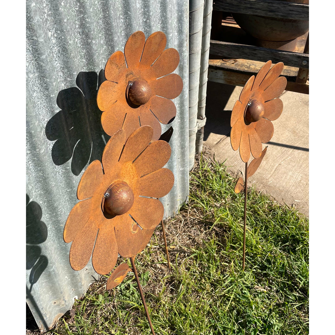 Daisy Flower 1000mm tall Metal Garden Art-Old n Dazed
