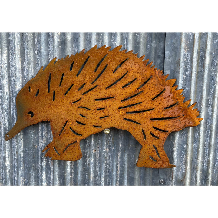 Echidna wall art Metal Wall Art-Old n Dazed
