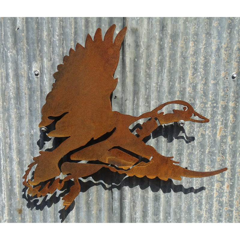 Flying Duck Metal Wall Art-Old n Dazed