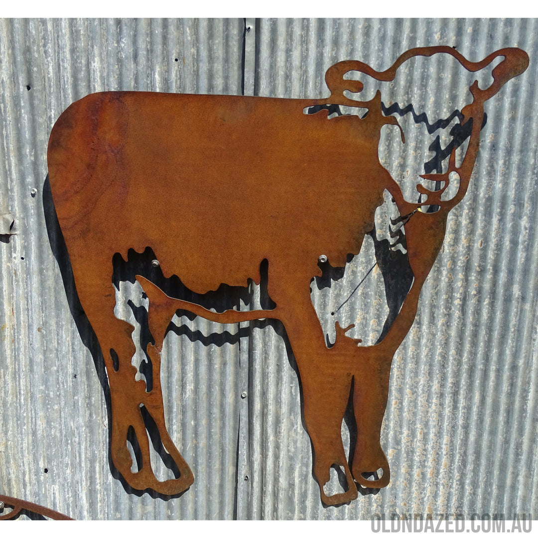 Hereford Calf Metal Wall Art-Old n Dazed