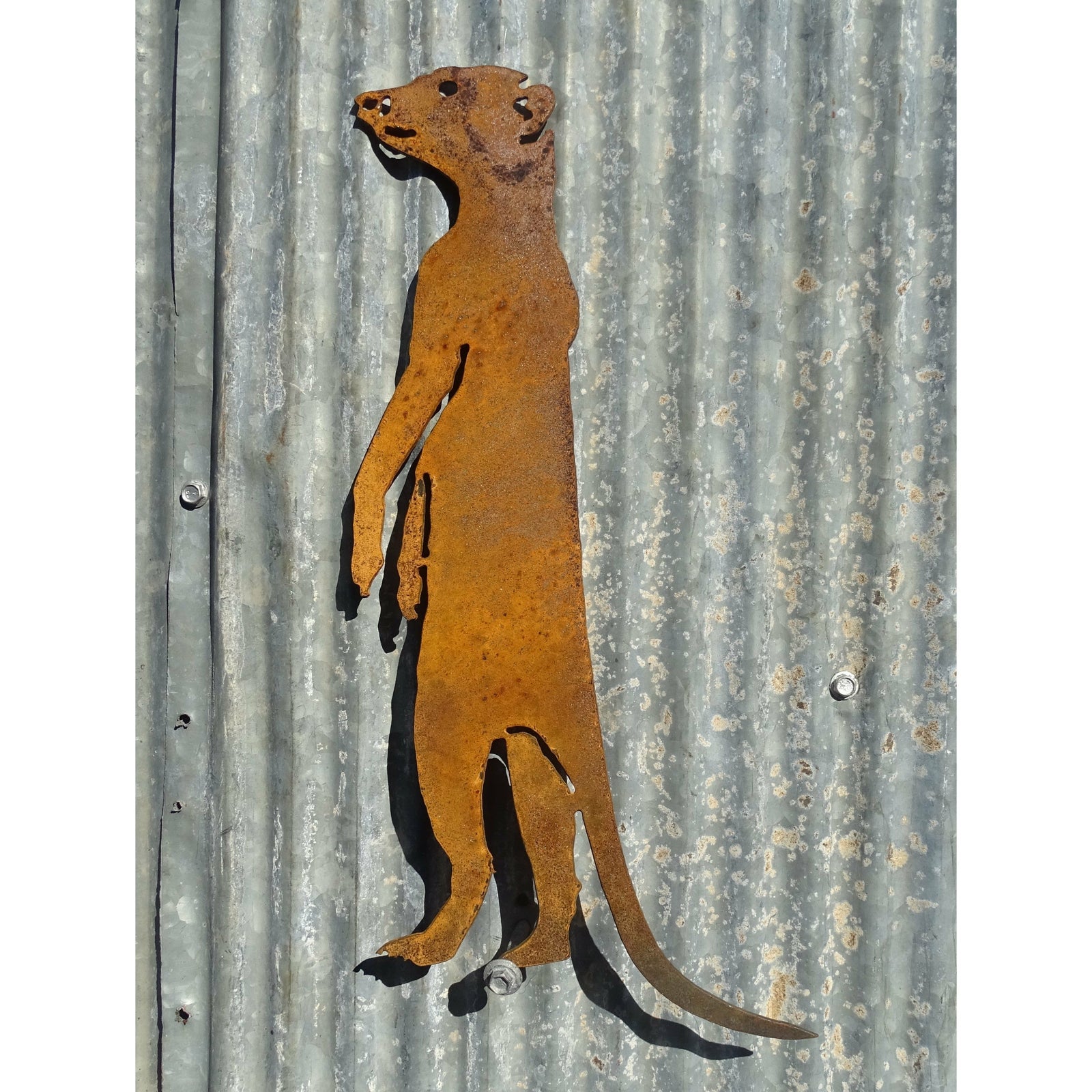 Meerkat Metal Wall Art-Old n Dazed
