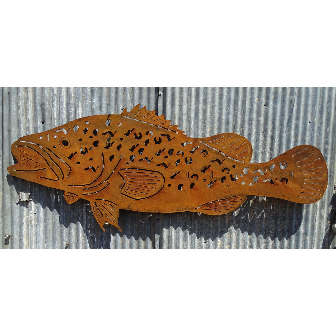 Murray cod fish Metal Wall Art-Old n Dazed