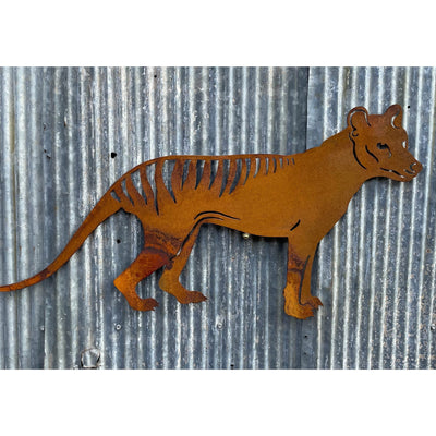 Tasmanian Tiger Metal Wall Art-Old n Dazed